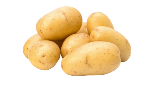 Aardappel