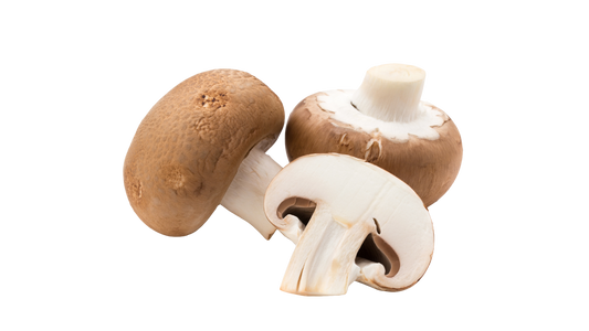 Champignon