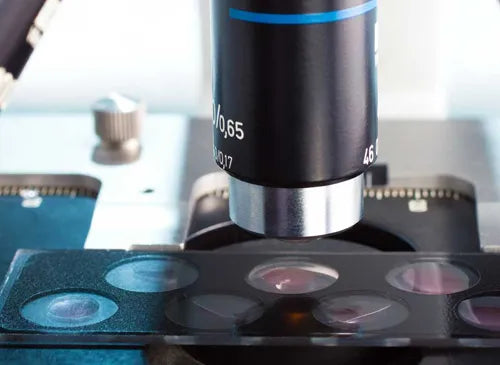Nieuwe IVF-methode niet beter en duurder dan de klassieke aanpak