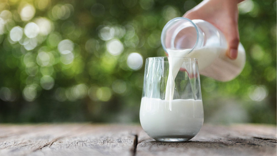 Wanneer mag mijn baby gewone melk?