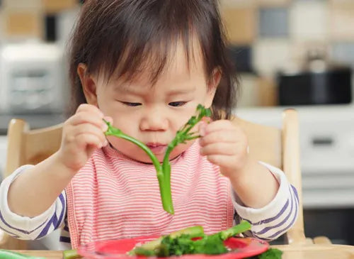 De Rapley methode en zelf babyvoeding maken: voordelen en nadelen