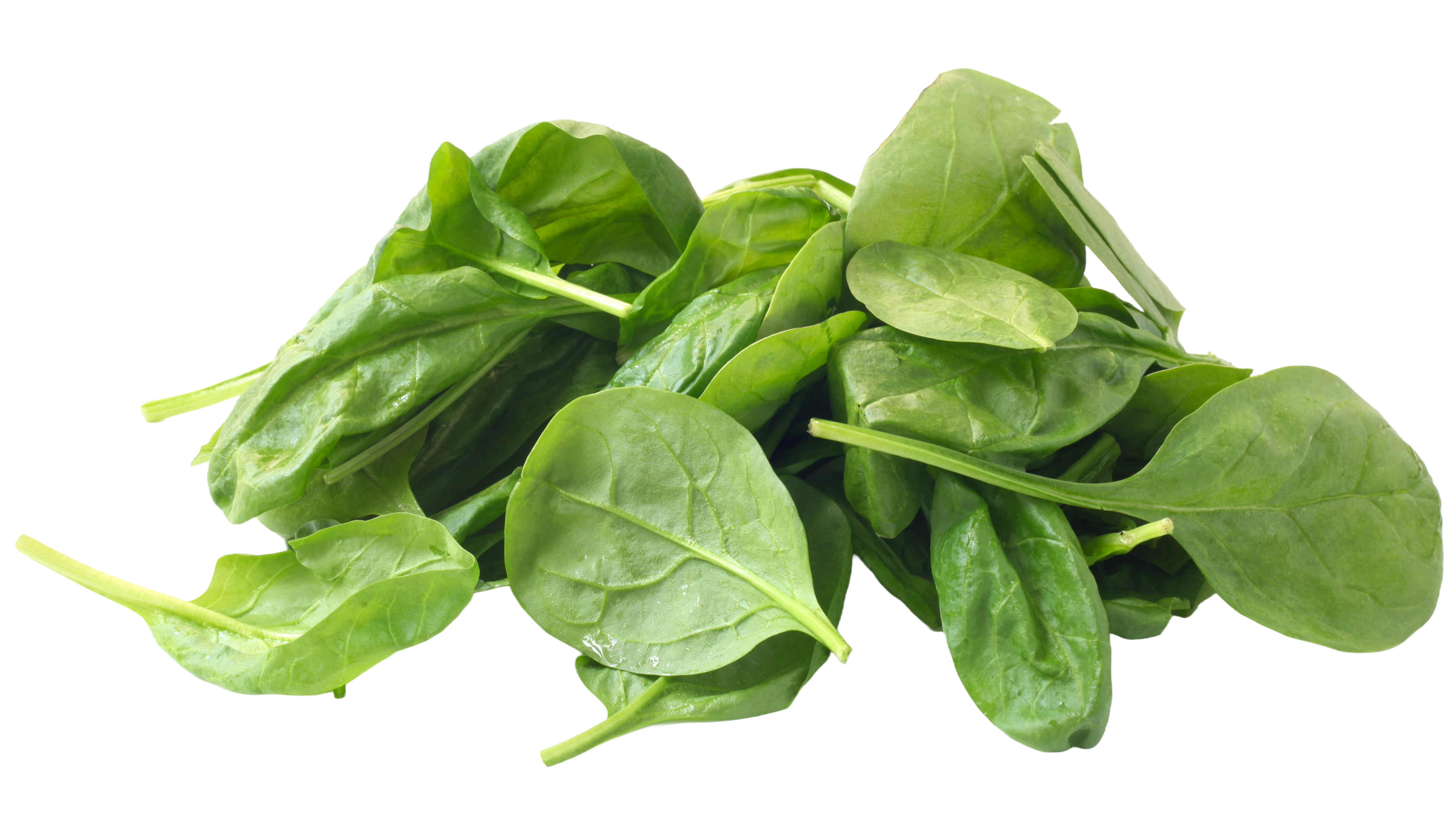 Ingredient spinazie voor het maken van  babyhapjes