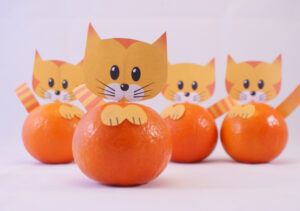 Trakteren op het kinderdagverblijf: Traktatie mandarijn katjes