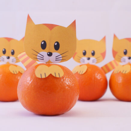 Trakteren op het kinderdagverblijf: Traktatie mandarijn katjes