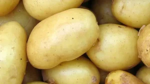 Babyvoeding maken met aardappel