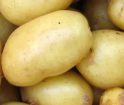Babyvoeding maken met aardappel