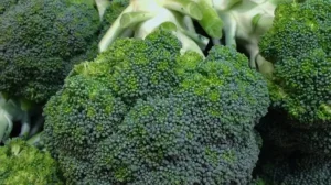 Babyvoeding maken met broccoli