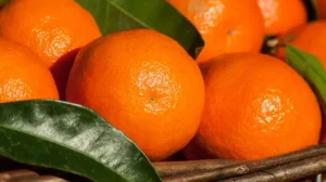 mandarijn gezonde traktatie