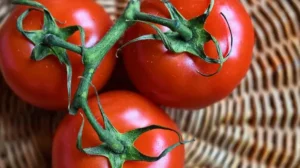 Babyvoeding maken met tomaat