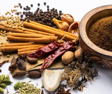 Garam masala in babyvoeding